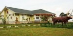 Igongo Cultural Center1